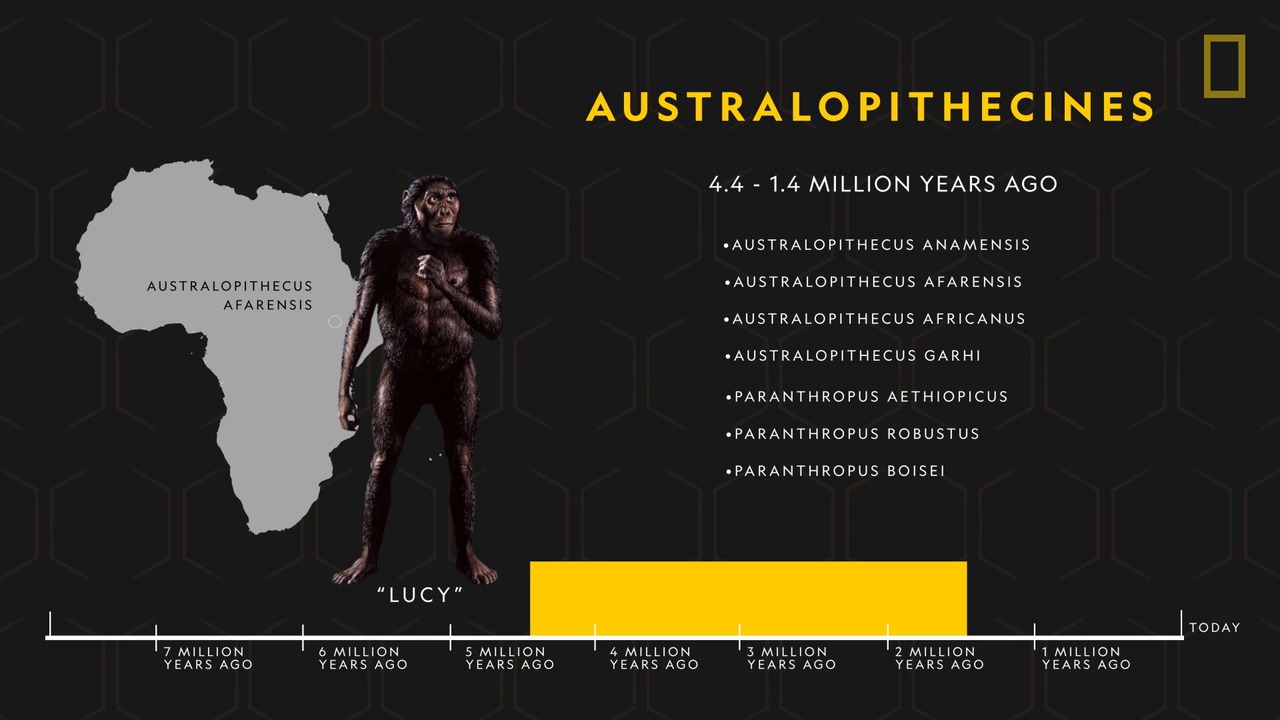 Human Origin 101   Human Origins 101 